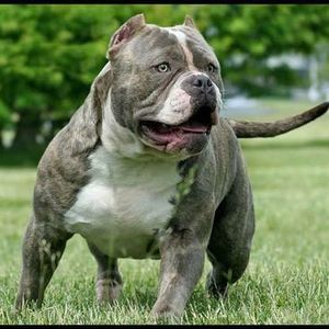 Meet your Posher, Bryan